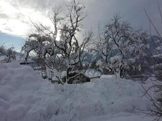 Apartment Triberg Environment 24