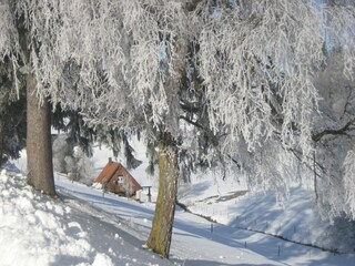 Vakantiehuis St. Georgen im Schwarzwald Buitenaudio-opname 8