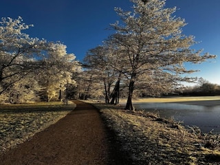 Maison de vacances St. Georgen im Schwarzwald Environnement 29