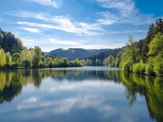 Vakantiehuis St. Georgen im Schwarzwald Omgeving 37