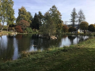 Maison de vacances St. Georgen im Schwarzwald Environnement 33