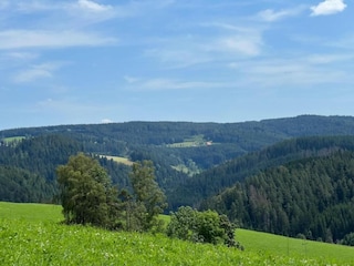 Ferienhaus St. Georgen im Schwarzwald Umgebung 37