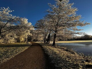 Ferienhaus St. Georgen im Schwarzwald Umgebung 36