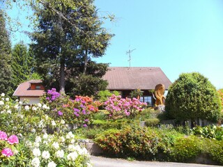 Appartement Furtwangen Buitenaudio-opname 2