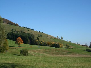 Apartment Furtwangen Umgebung 24
