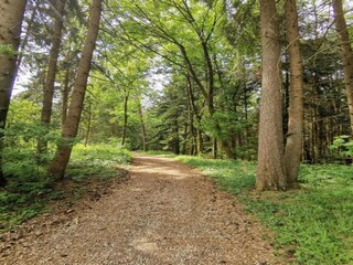 Appartamento Furtwangen Ambiente 29