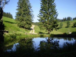 Apartamento Furtwangen Entorno 39