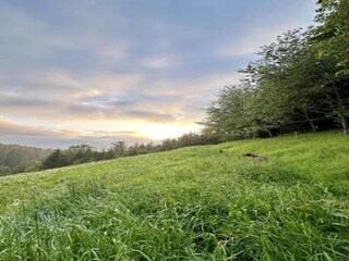 Appartamento Furtwangen Ambiente 27