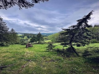 Appartamento Furtwangen Ambiente 24