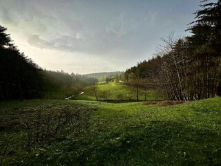 Appartamento Furtwangen Ambiente 28