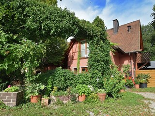 Appartement Schallstadt Enregistrement extérieur 5