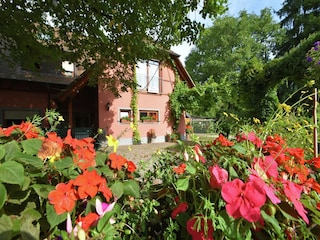 Appartement Schallstadt Enregistrement extérieur 7