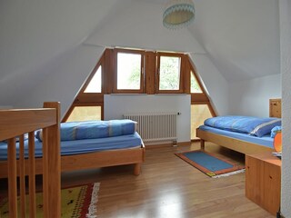 Apartamento Schallstadt Características 22