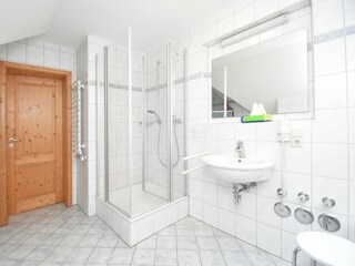 Apartamento Schallstadt Características 30