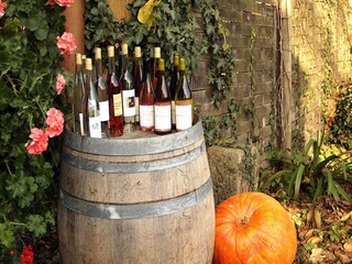 Appartement Schallstadt Buitenaudio-opname 5