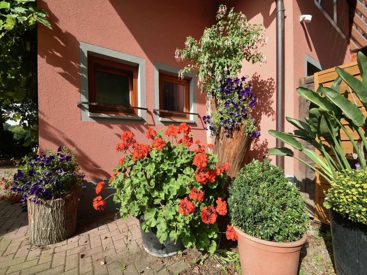 Apartment Schallstadt Außenaufnahme 7