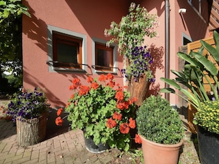 Appartement Schallstadt Enregistrement extérieur 9