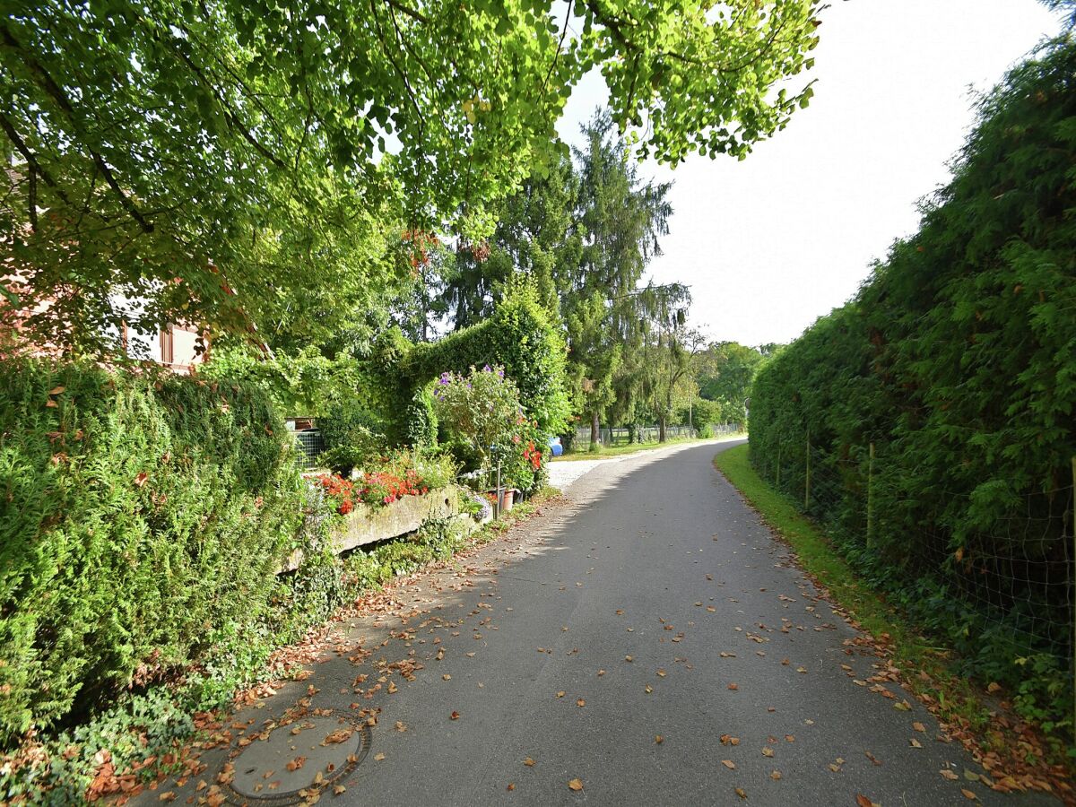 Apartment Schallstadt Umgebung 30