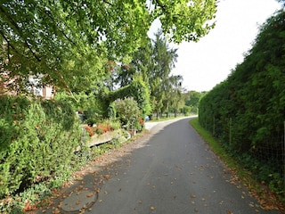 Apartment Schallstadt Umgebung 33