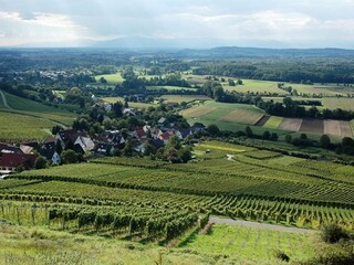 Appartement Schallstadt Environnement 32