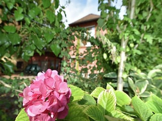 Appartement Schallstadt  36