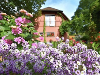 Appartement Schallstadt  37