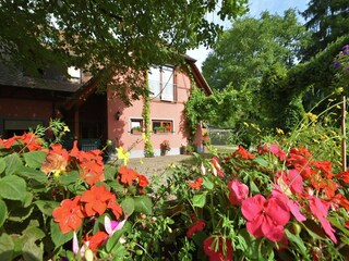 Appartement Schallstadt Buitenaudio-opname 8