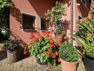 Apartment Schallstadt Außenaufnahme 3