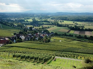 Appartement Schallstadt Environnement 33