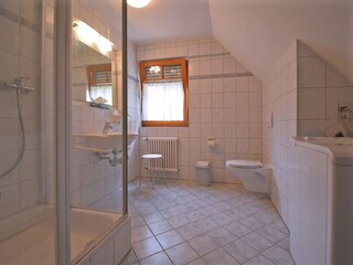 Apartamento Schallstadt Características 16