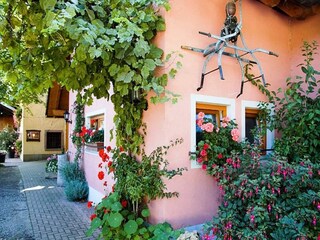 Appartement Schallstadt Buitenaudio-opname 3