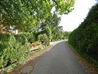Appartement Schallstadt Omgeving 40