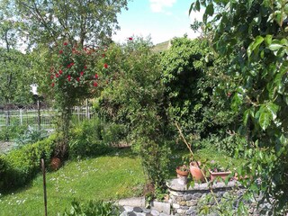 Apartment Vogtsburg Outdoor Recording 3