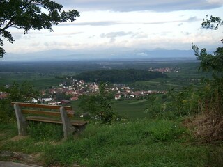 Appartement Vogtsburg Environnement 34