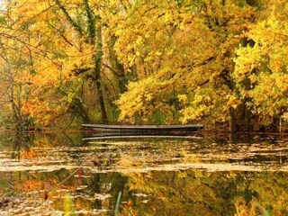 Appartement Vogtsburg Environnement 35