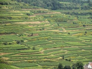 Apartment Vogtsburg Umgebung 37