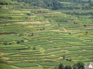 Appartamento Vogtsburg Ambiente 37