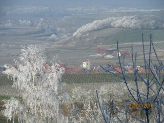 Appartamento Vogtsburg Caratteristiche 9