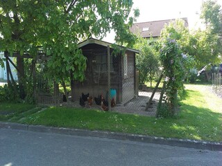 Appartement Vogtsburg  40