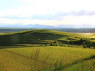 Apartment Vogtsburg Environment 36