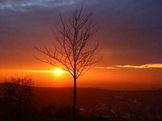 Apartment Vogtsburg Environment 40