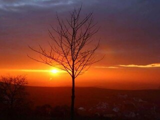 Appartamento Vogtsburg Ambiente 42