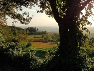 Appartamento Vogtsburg Ambiente 44