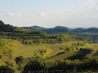 Appartamento Vogtsburg Ambiente 32