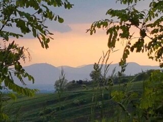 Appartamento Vogtsburg Ambiente 30