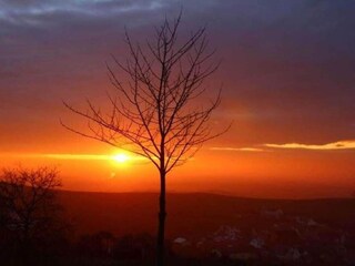 Appartamento Vogtsburg Ambiente 31