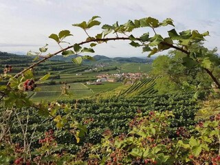 Appartamento Vogtsburg Ambiente 22