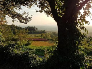 Appartamento Vogtsburg Ambiente 25