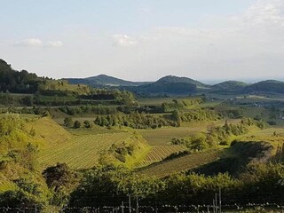 Appartamento Vogtsburg Ambiente 33