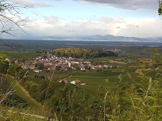 Appartement Vogtsburg Environnement 27